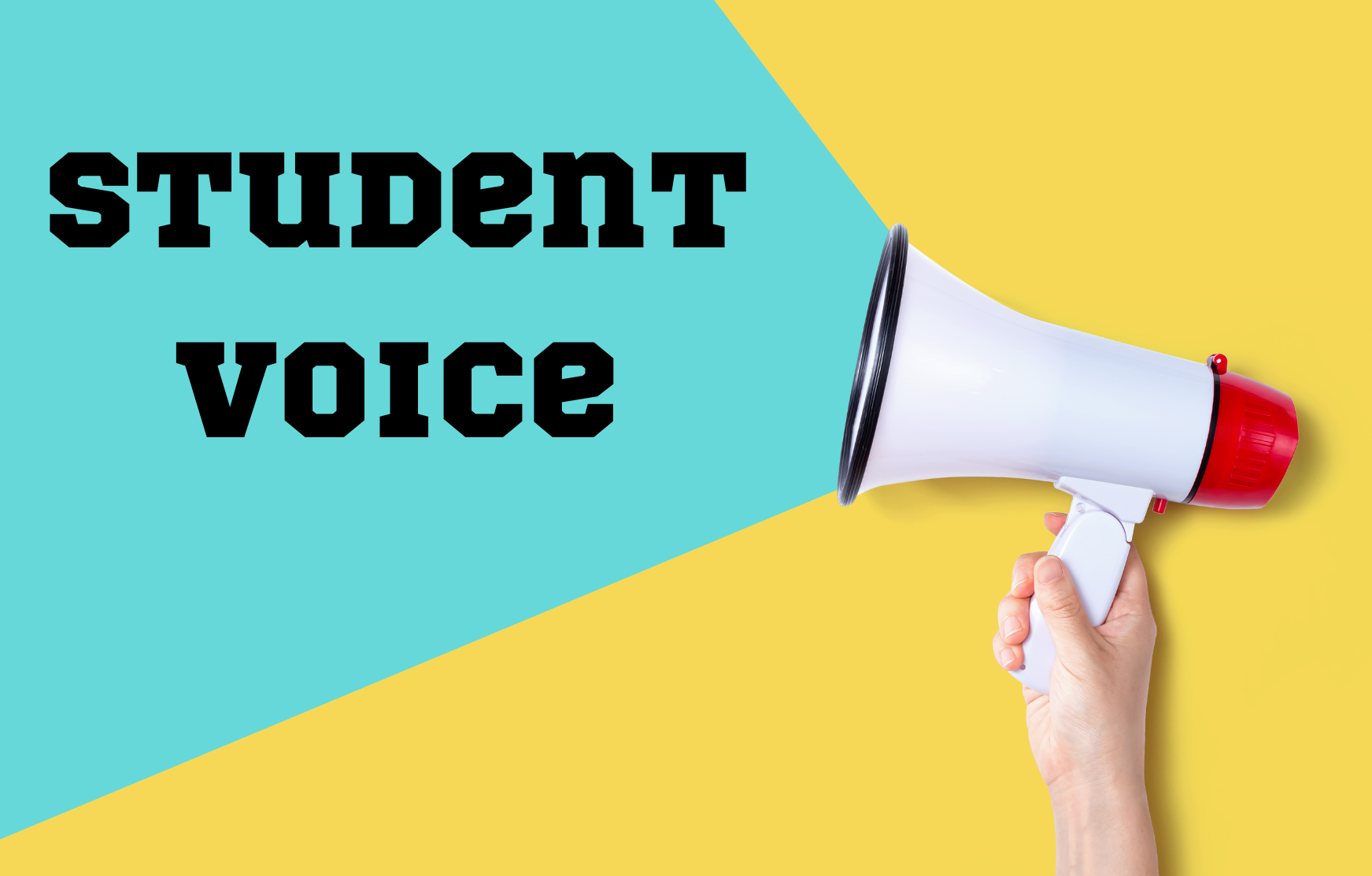 Student voice image for website.png